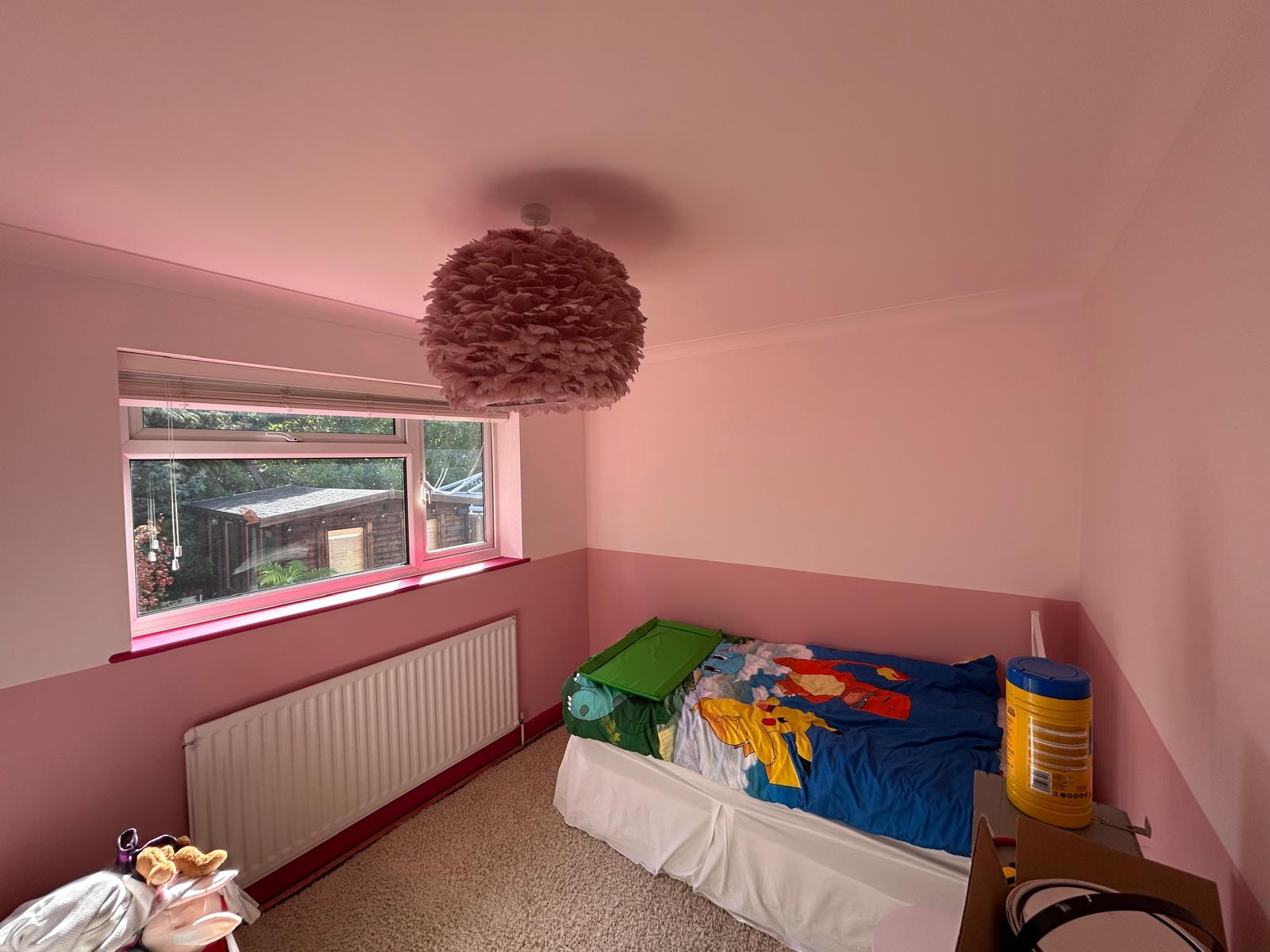 Interior painting project